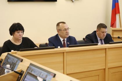 Комитет по собственности поддержал проект закона о запрете продажи несовершеннолетним газовых баллончиков